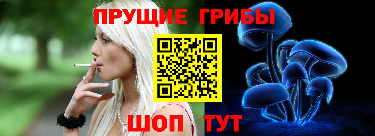 Псилоцибиновые грибы Psilocybine cubensis Борисоглебск